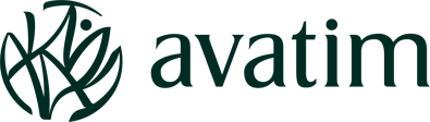 Avatim